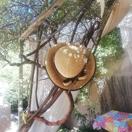 L'olivier Sur La Place Bed & Breakfast