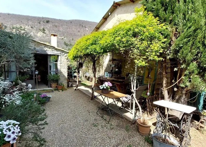 L'olivier Sur La Place