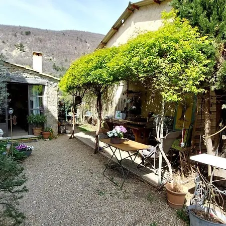 L'olivier Sur La Place