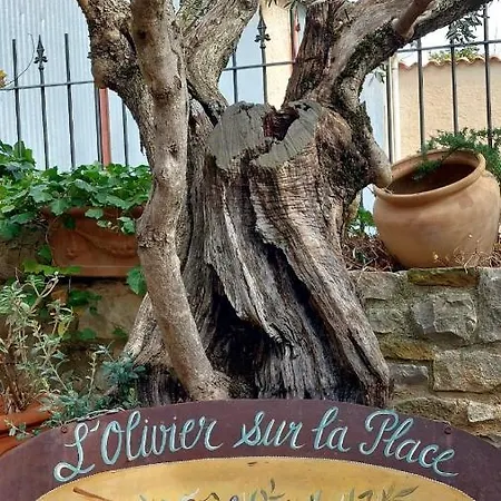 L'olivier Sur La Place